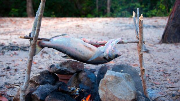 How to Clean a Fish at the Campsite (And Then Cook It)