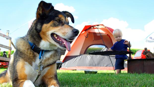 10 Unwritten Camping Rules to Remember