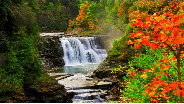 6 Cool New York State Park Fall Activities