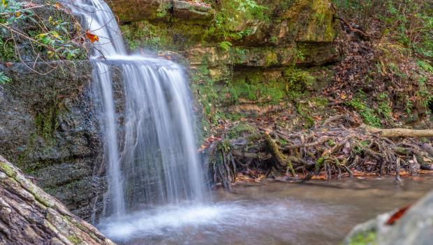 F.D. Roosevelt State Park