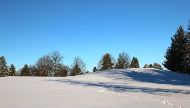 Blue Knob State Park