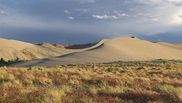 Bruneau Dunes State Park