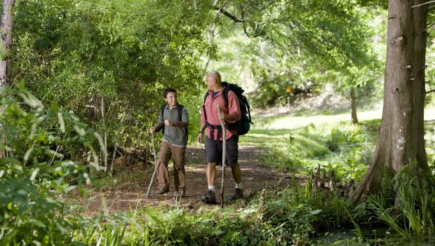 Easy Hikes for the Entire Family