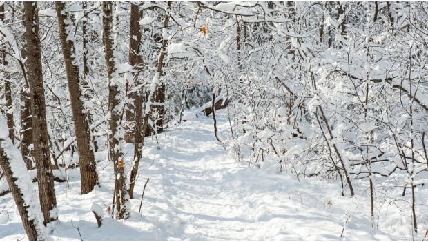 Lake Wapello State Park