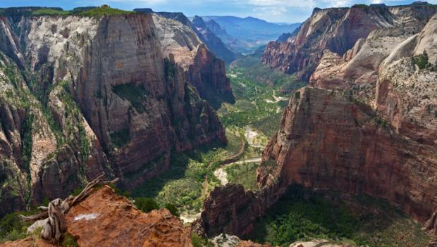 Canyon Overlook Trail