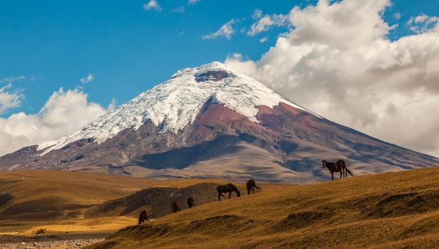 campgrounds cotopaxi colorado