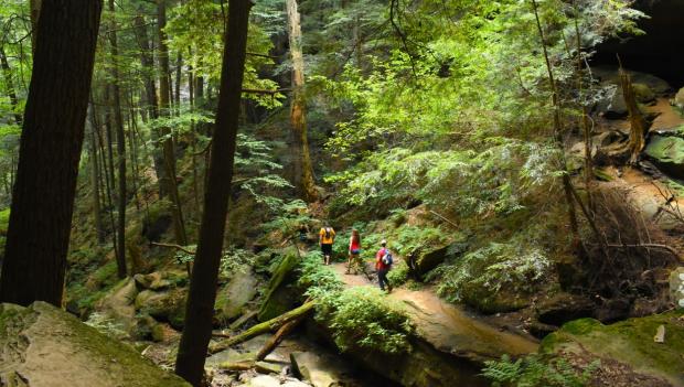 American forest campgrounds