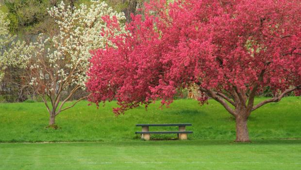 Cherry Creek State Park