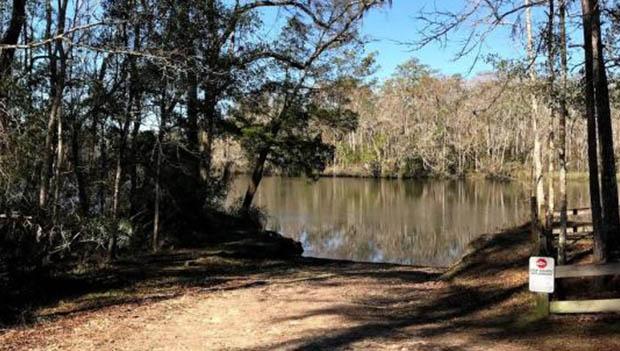 Womack Creek Campground