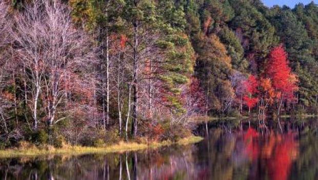 Daingerfield State Park