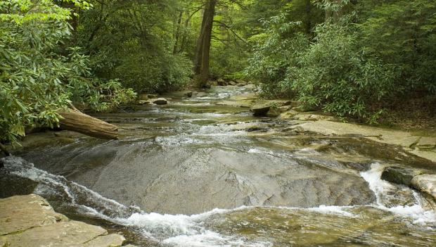 Linn Run State Park