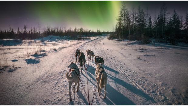 Northern Lights Viewing in America