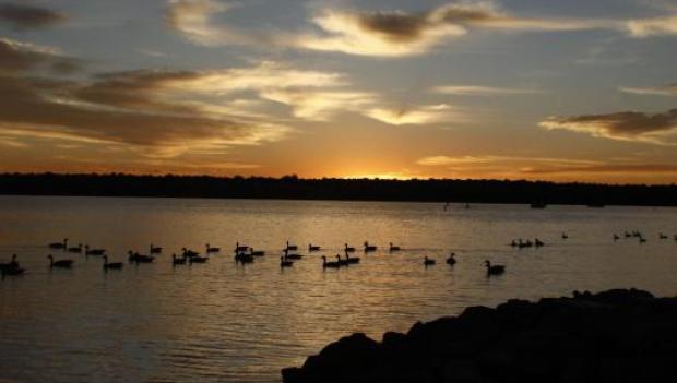 Cherry Creek State Park