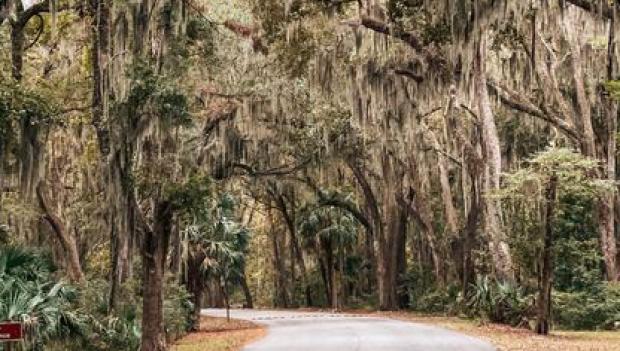 skidaway island state park