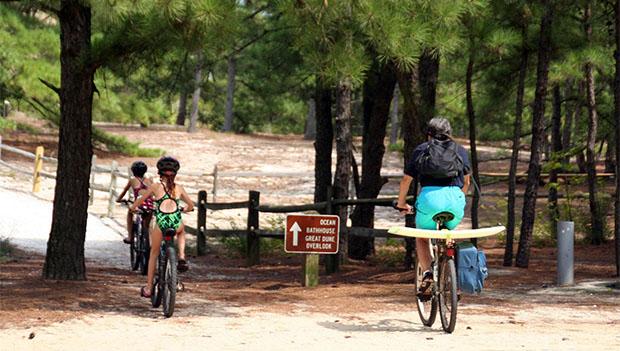 Cape Henlopen State Park