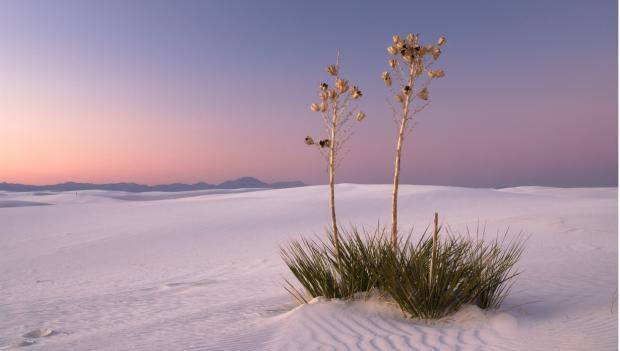 stunning white sands