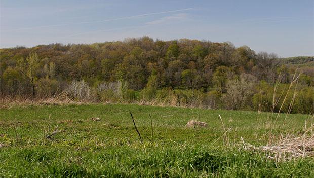 Volga River State Recreation Area, Iowa