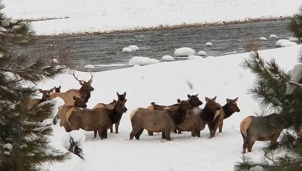 Trinidad Lake State Park