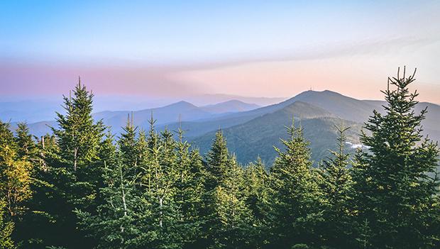 Mount Mitchell State Park