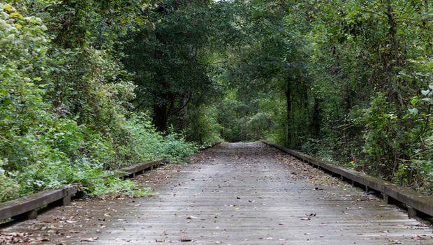 Tickfaw State Park Louisiana