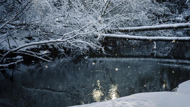 Salcha River State Recreation Park