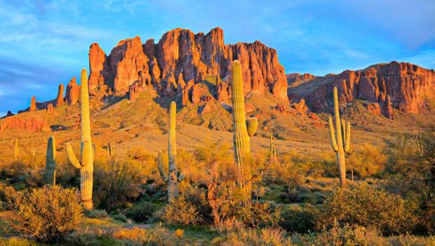 Best wildflower spring hikes Arizona