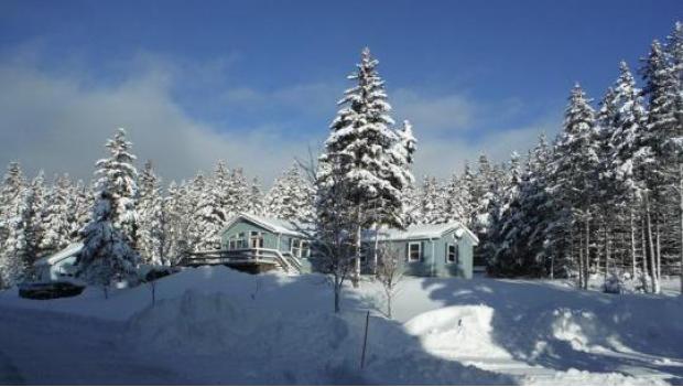 The Lodges at Coleman State Park