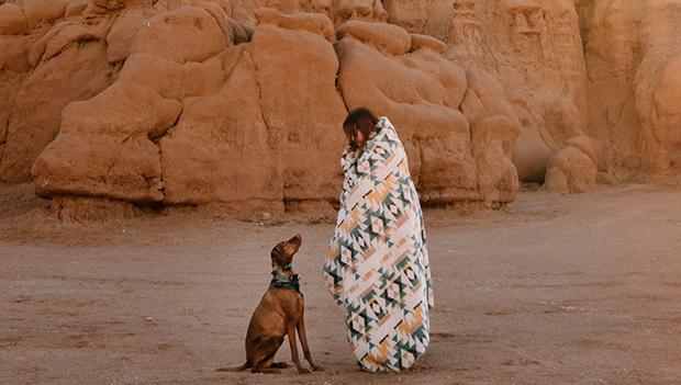 Wrap your dog with a waterproof blanket to keep them warm