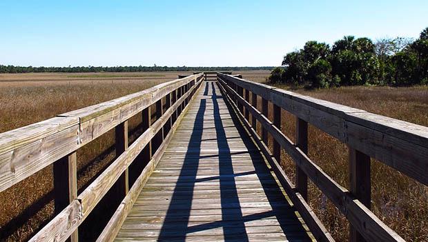 Okaloachoochee Slough State Forest