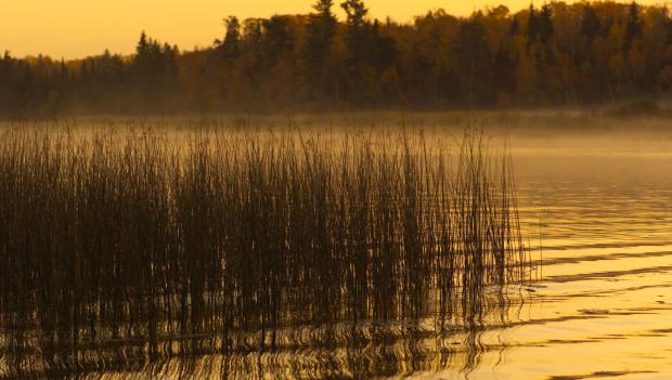 jackson lake state park