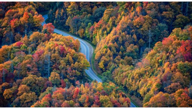 Fall Leaves Camping Trips America