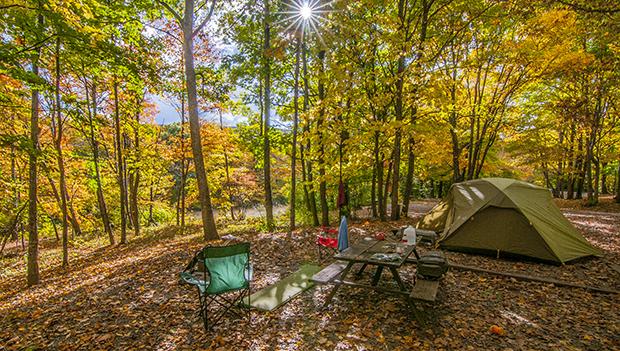 5 Best Camping Destinations for Fall Foliage