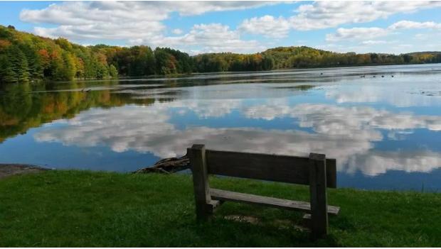 Hills Creek State Park