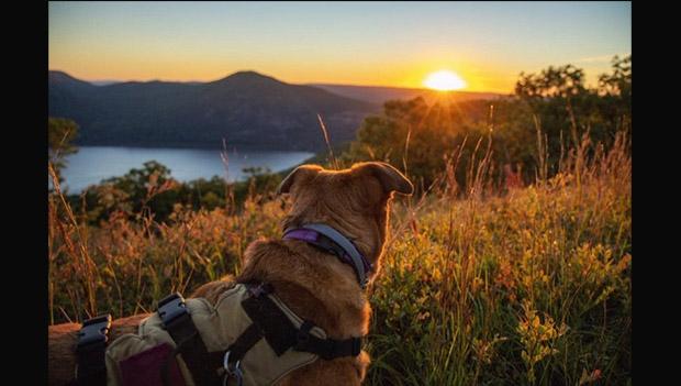 Hiking Category Winner