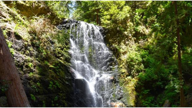 Best West Coast Hiking Trails