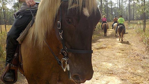 Coldwater Equestrian Campground