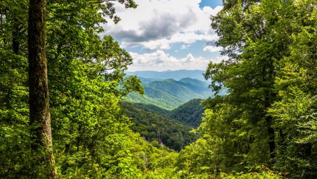 Where to Camp in North Carolina When Great Smoky Mountains National Park is Booked