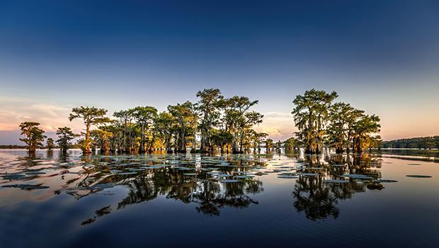 Cypress swamp at Caddo Lake State Park