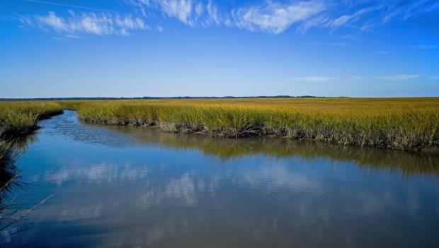 Cape Henlopen State Park